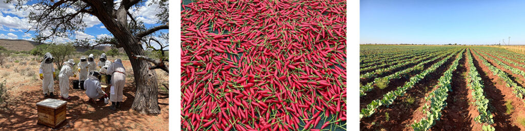 ELI-Enterprise-Banner2